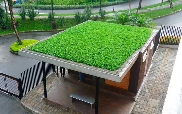 Los techos verdes, grandes ventajas para ser una solución sostenible