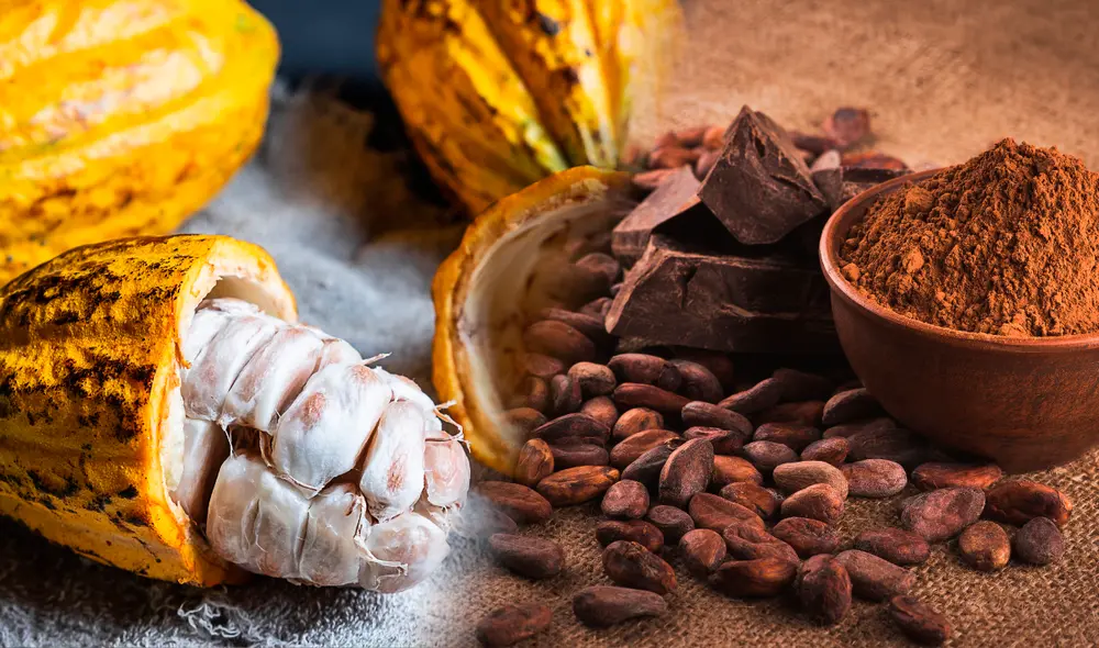 Cacao fino de aroma: inversión, exportación y rentabilidad en Perú