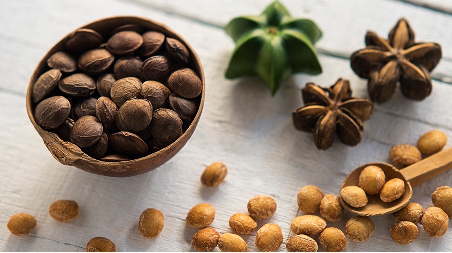 Sacha inchi: propiedades, precio internacional y oportunidades de negocio