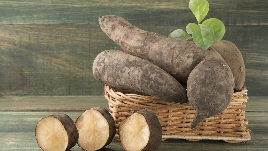 Yacón: beneficios, mercado global y cómo aprovechar su demanda